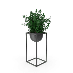 https://cdn.dummyjson.com/products/images/home-decoration/House%20Showpiece%20Plant/3.png