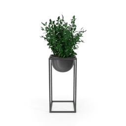 https://cdn.dummyjson.com/products/images/home-decoration/House%20Showpiece%20Plant/thumbnail.png