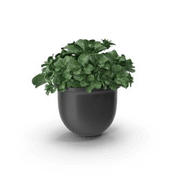 https://cdn.dummyjson.com/products/images/home-decoration/Plant%20Pot/1.png