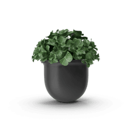 https://cdn.dummyjson.com/products/images/home-decoration/Plant%20Pot/2.png