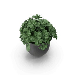 https://cdn.dummyjson.com/products/images/home-decoration/Plant%20Pot/4.png