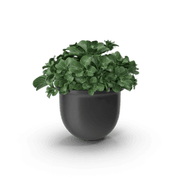 https://cdn.dummyjson.com/products/images/home-decoration/Plant%20Pot/thumbnail.png