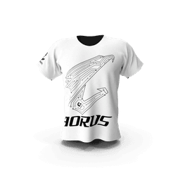 https://cdn.dummyjson.com/products/images/mens-shirts/Gigabyte%20Aorus%20Men%20Tshirt/1.png