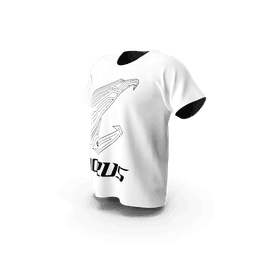 https://cdn.dummyjson.com/products/images/mens-shirts/Gigabyte%20Aorus%20Men%20Tshirt/2.png