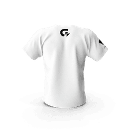 https://cdn.dummyjson.com/products/images/mens-shirts/Gigabyte%20Aorus%20Men%20Tshirt/3.png