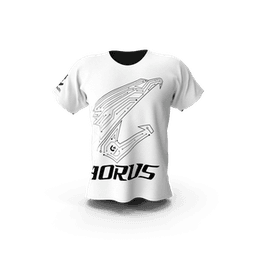 https://cdn.dummyjson.com/products/images/mens-shirts/Gigabyte%20Aorus%20Men%20Tshirt/thumbnail.png