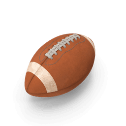 https://cdn.dummyjson.com/products/images/sports-accessories/American%20Football/1.png
