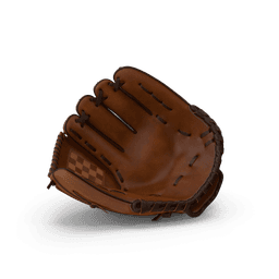 https://cdn.dummyjson.com/products/images/sports-accessories/Baseball%20Glove/1.png