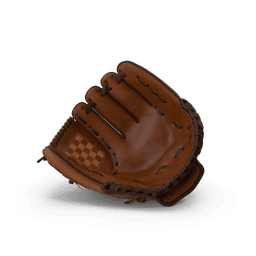 https://cdn.dummyjson.com/products/images/sports-accessories/Baseball%20Glove/2.png