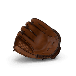 https://cdn.dummyjson.com/products/images/sports-accessories/Baseball%20Glove/thumbnail.png