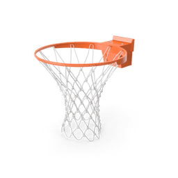 https://cdn.dummyjson.com/products/images/sports-accessories/Basketball%20Rim/thumbnail.png