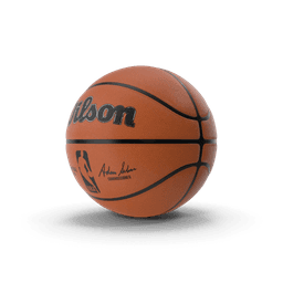 https://cdn.dummyjson.com/products/images/sports-accessories/Basketball/1.png