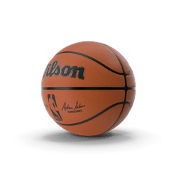 https://cdn.dummyjson.com/products/images/sports-accessories/Basketball/thumbnail.png