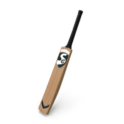 https://cdn.dummyjson.com/products/images/sports-accessories/Cricket%20Bat/thumbnail.png