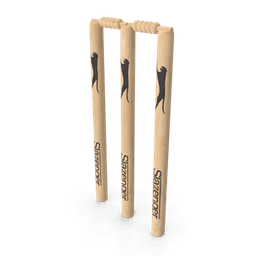 https://cdn.dummyjson.com/products/images/sports-accessories/Cricket%20Wicket/thumbnail.png