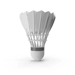 https://cdn.dummyjson.com/products/images/sports-accessories/Feather%20Shuttlecock/1.png