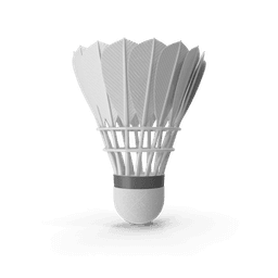 https://cdn.dummyjson.com/products/images/sports-accessories/Feather%20Shuttlecock/thumbnail.png