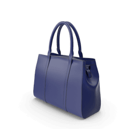 https://cdn.dummyjson.com/products/images/womens-bags/Blue%20Women's%20Handbag/2.png