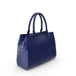 https://cdn.dummyjson.com/products/images/womens-bags/Blue%20Women's%20Handbag/3.png