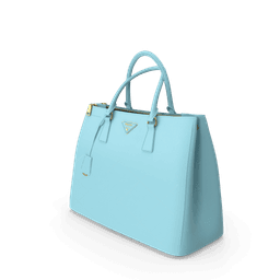 https://cdn.dummyjson.com/products/images/womens-bags/Prada%20Women%20Bag/2.png