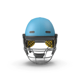 https://cdn.dummyjson.com/products/images/sports-accessories/Cricket%20Helmet/2.png