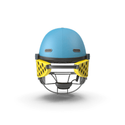 https://cdn.dummyjson.com/products/images/sports-accessories/Cricket%20Helmet/4.png